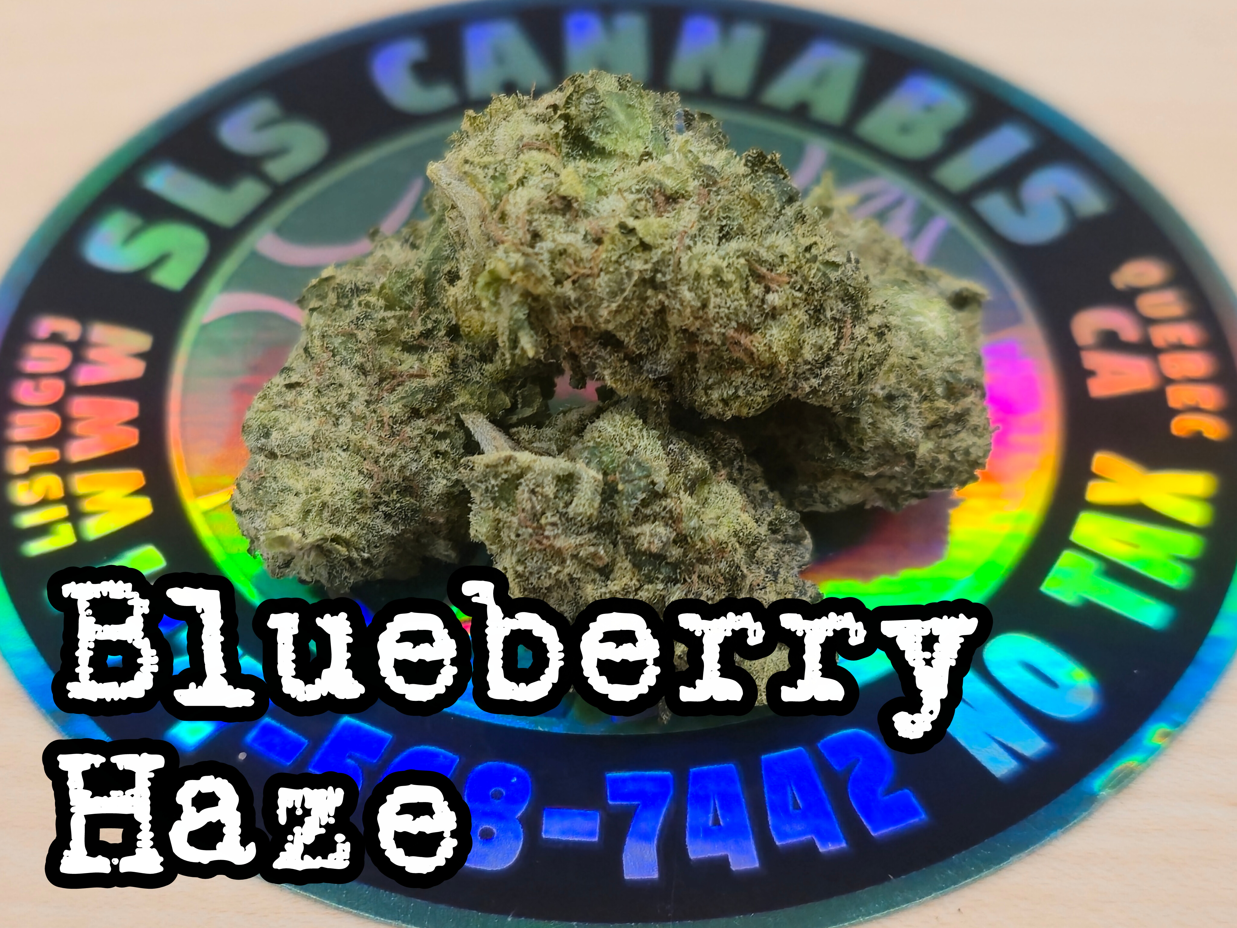 Blueberry Haze