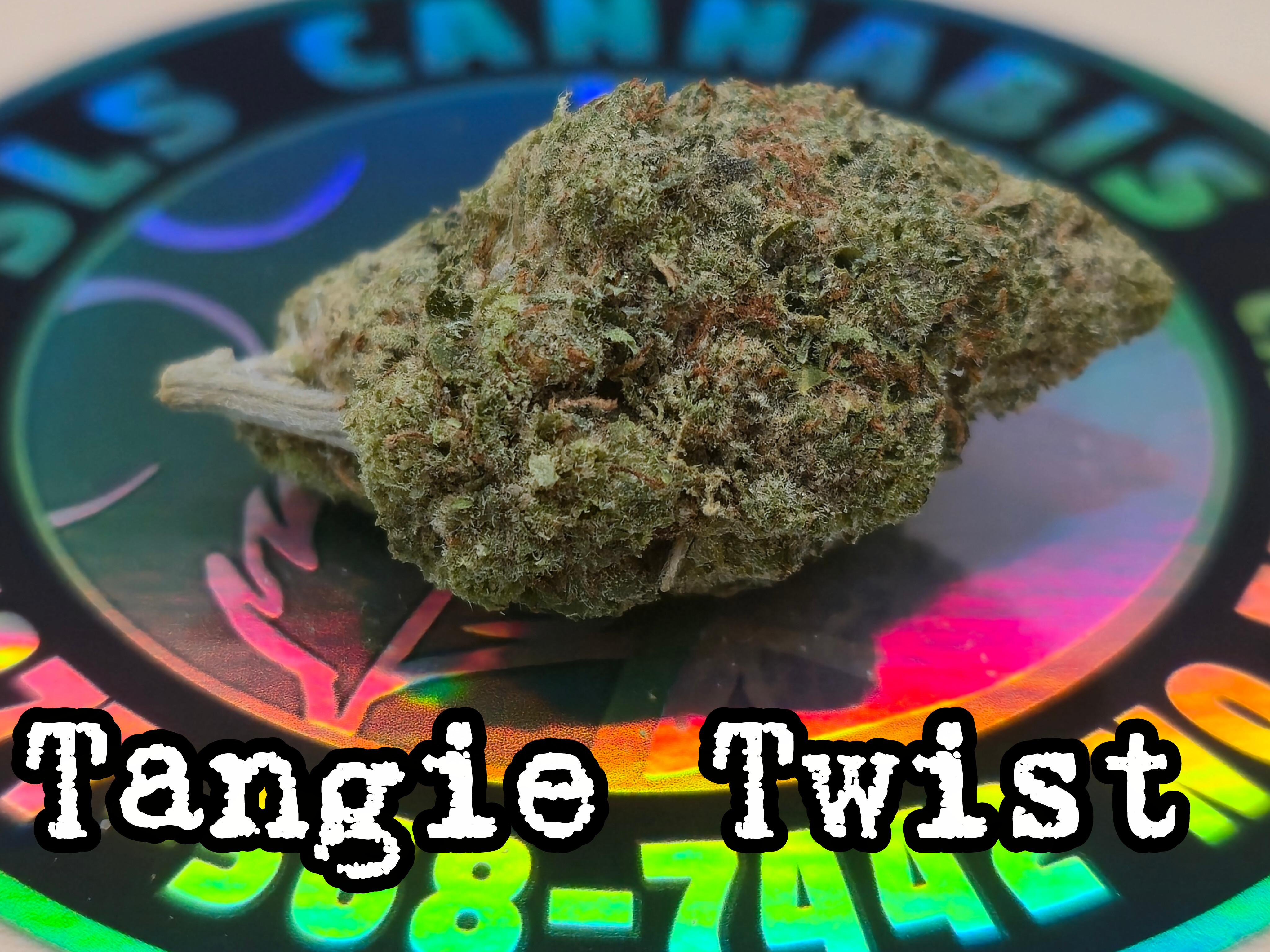 Tangie Twist