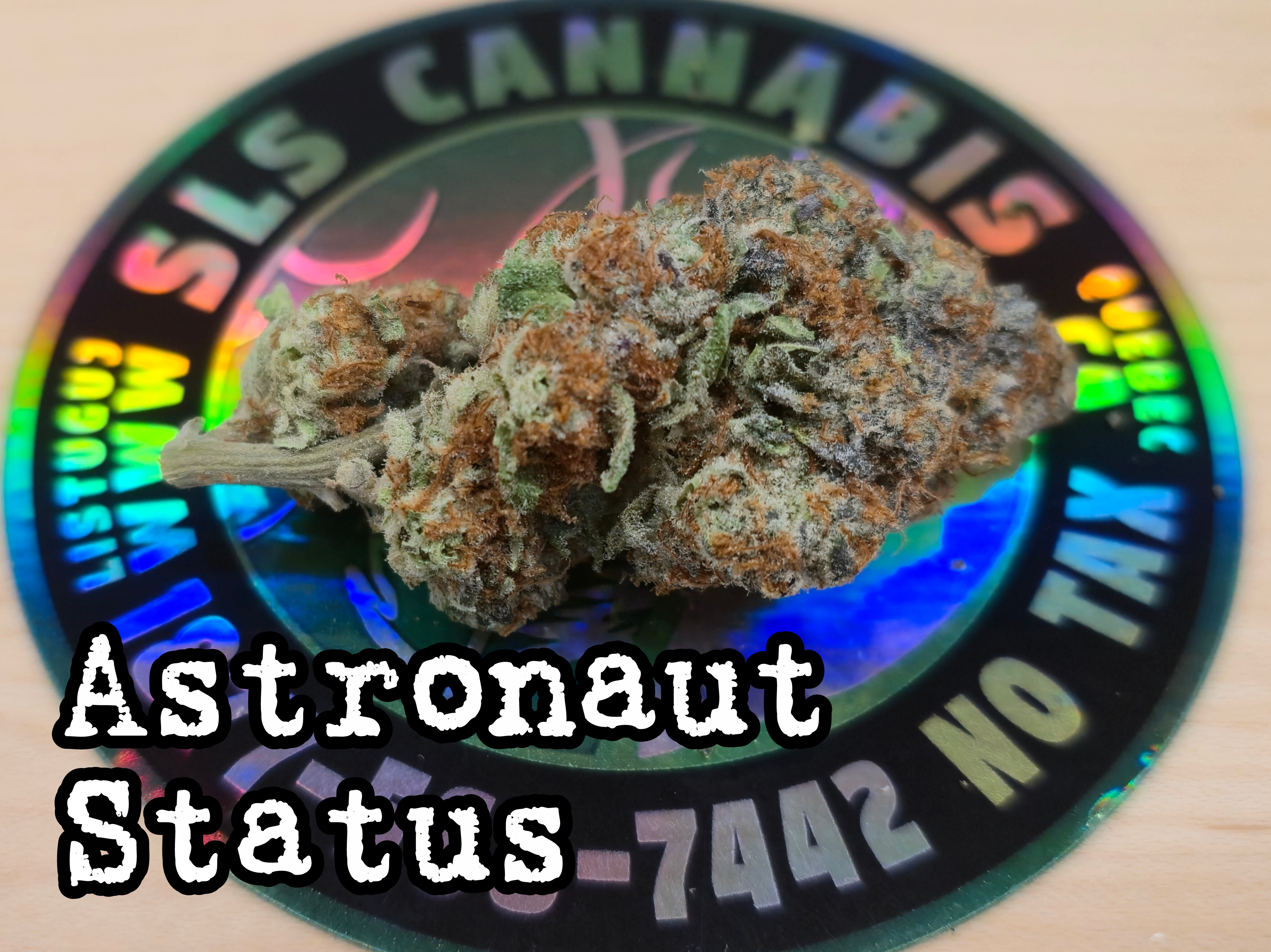 Astronaut Status