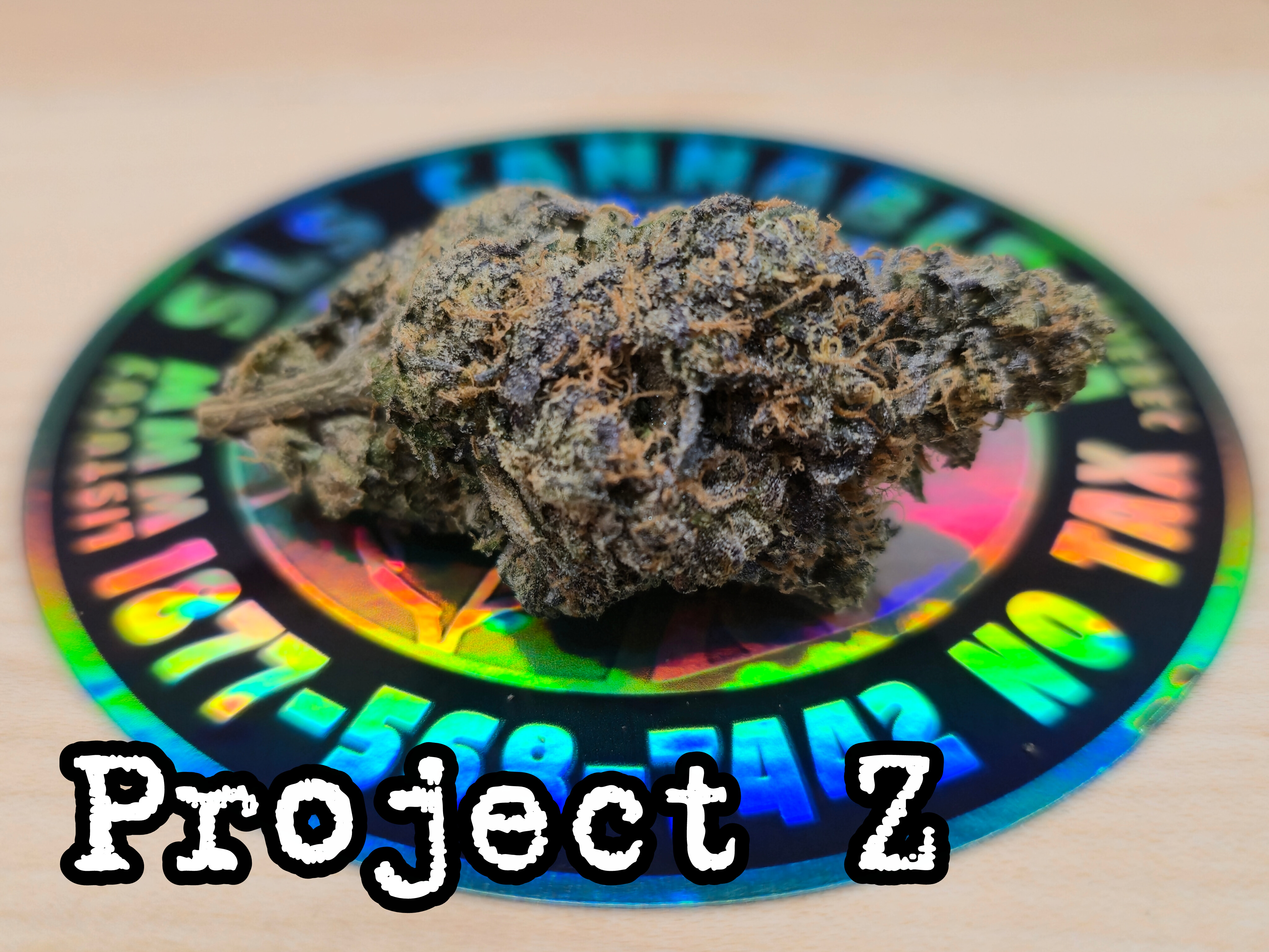 Project Z