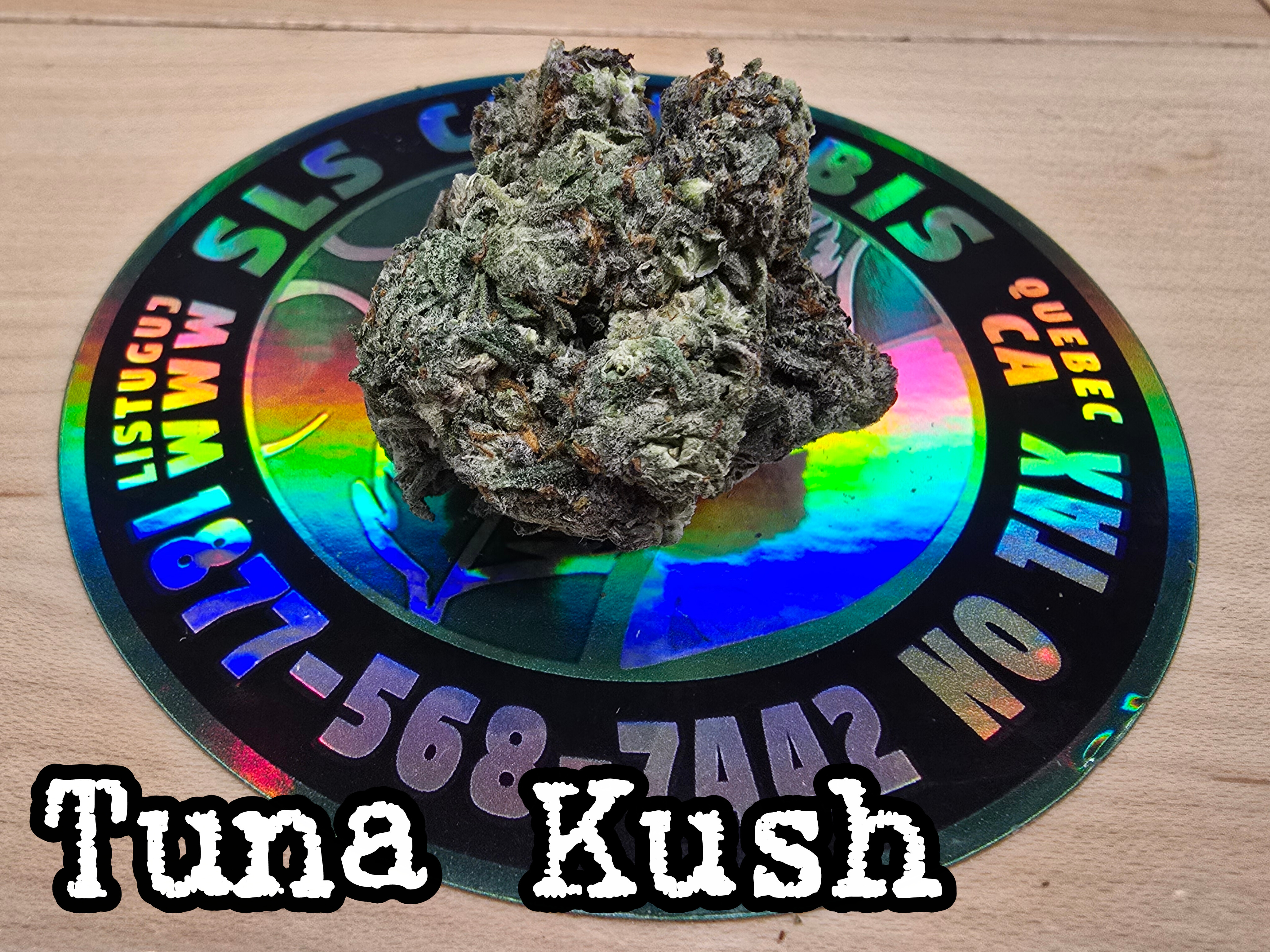 Tuna Kush