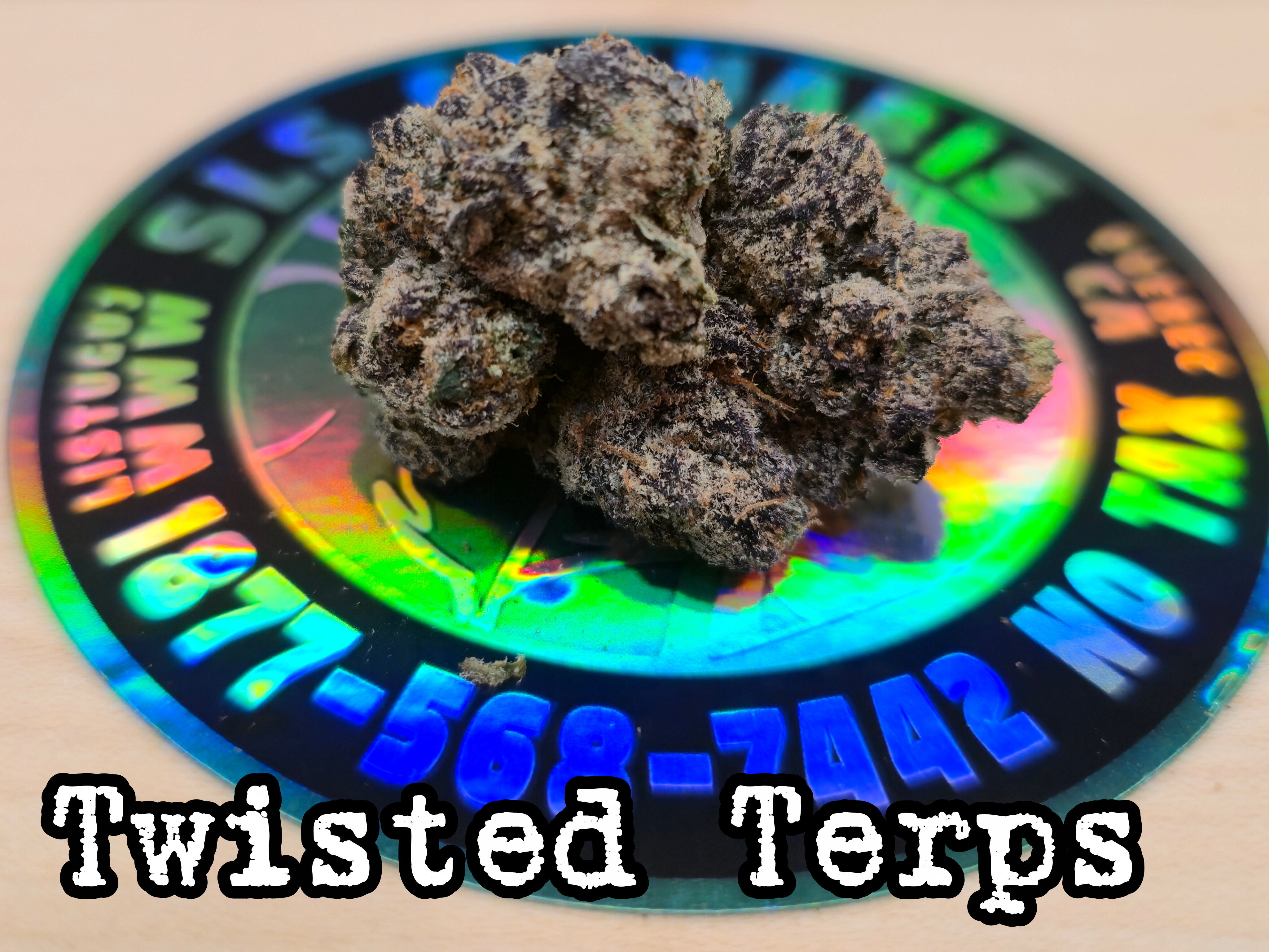 Twisted Terps