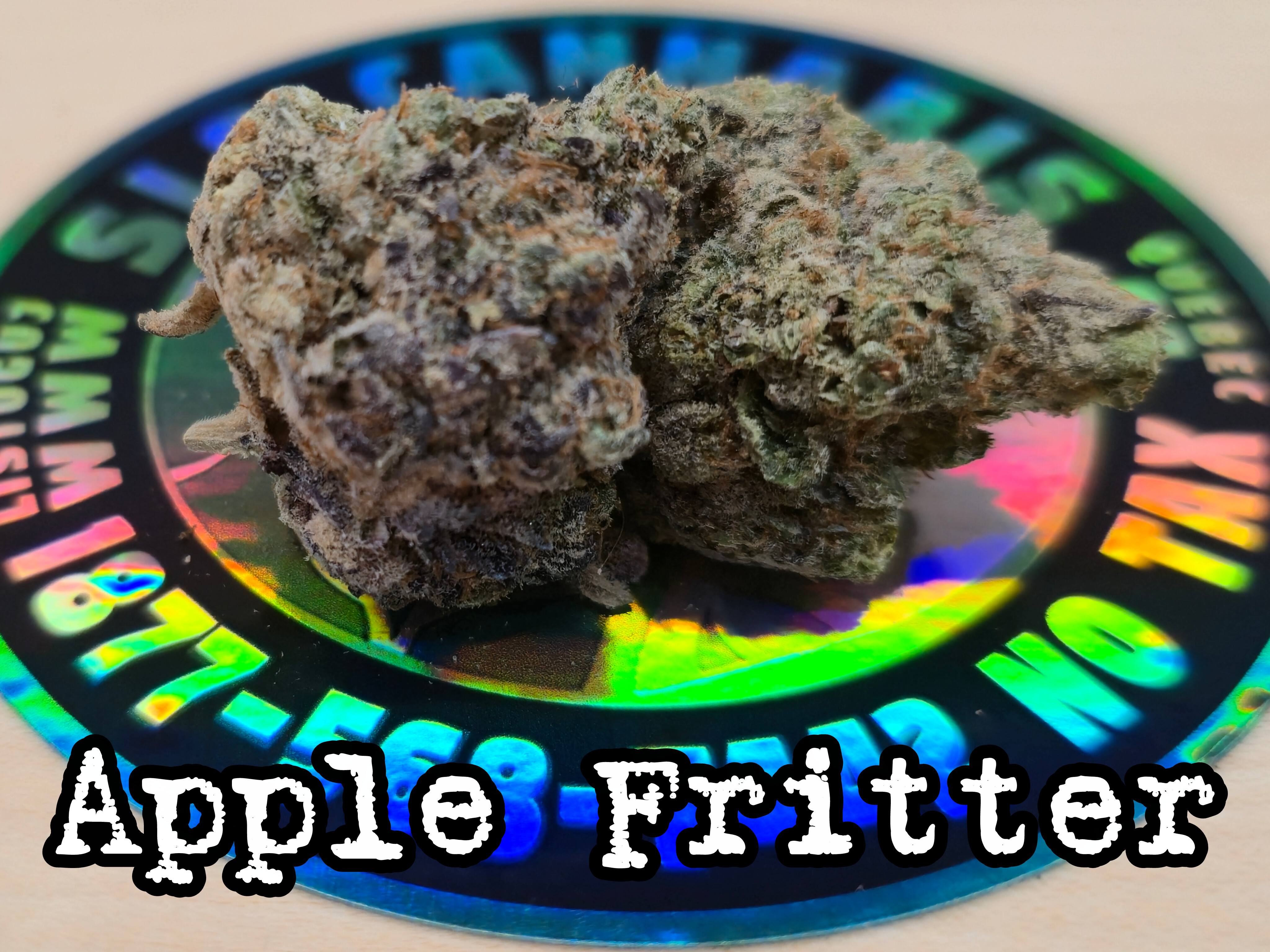 Apple Fritter