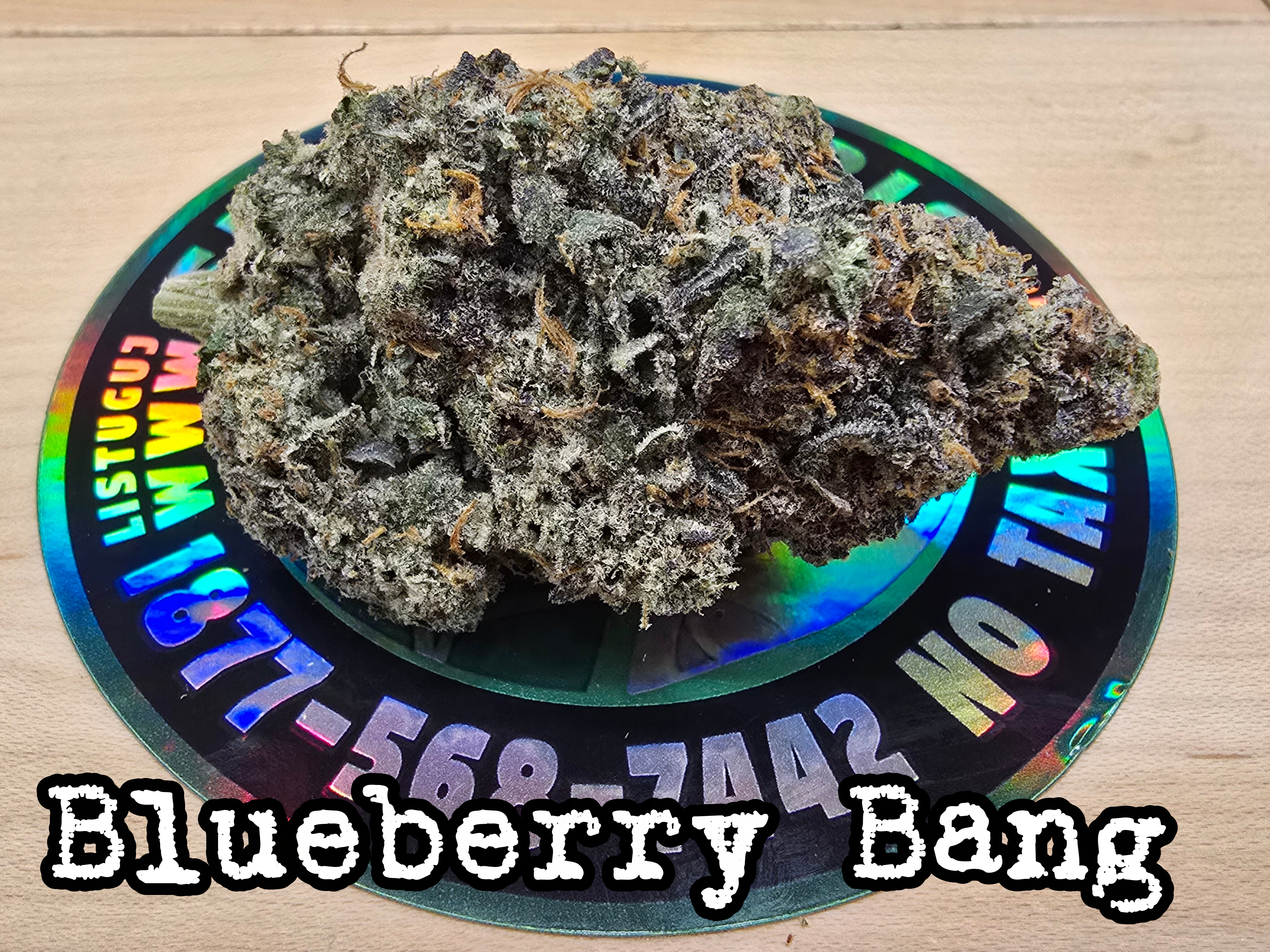 Blueberry Bang